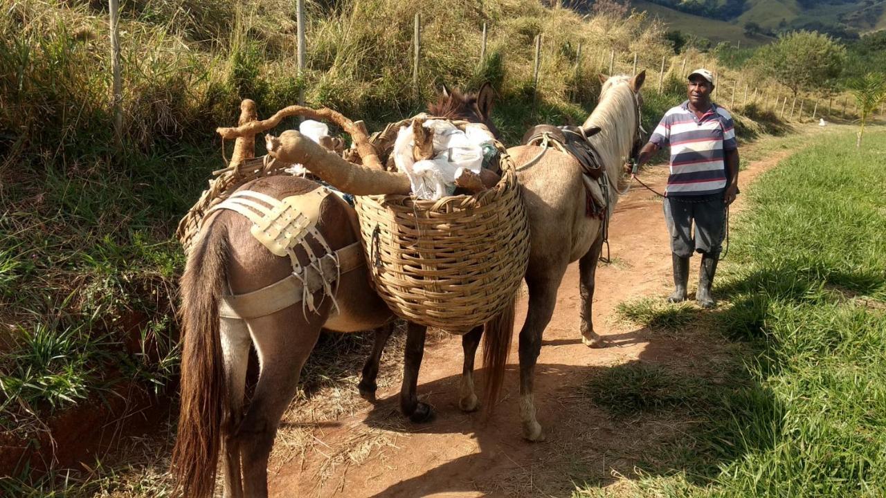 포우소알토 Quinta Do Papagaio 빌라 외부 사진